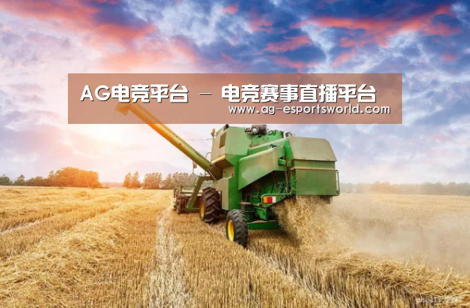 产品名称二(图1)