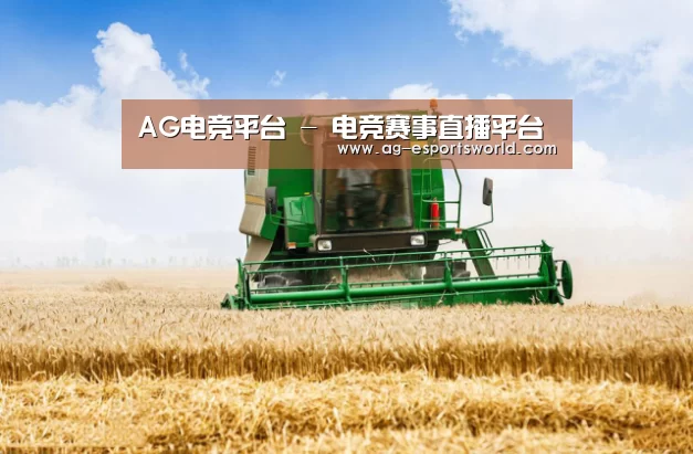 产品名称六(图1)