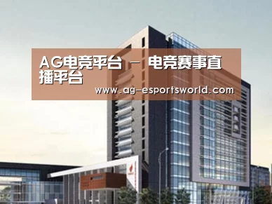 案例展示七