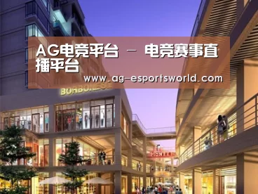 案例展示一