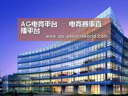案例展示五