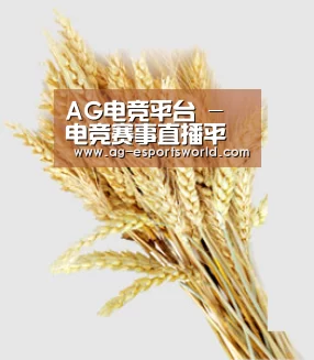 AG电竞平台 - 电竞赛事直播平台