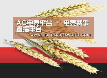 AG电竞平台 - 电竞赛事直播平台
