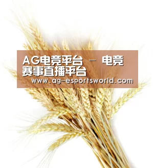 AG电竞平台 - 电竞赛事直播平台