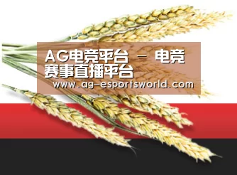 AG电竞平台 - 电竞赛事直播平台