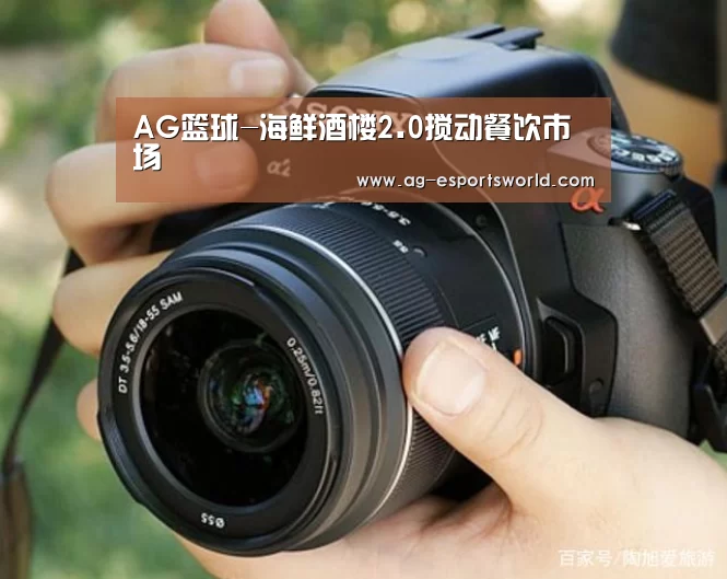 AG篮球-海鲜酒楼2.0搅动餐饮市场(图4) AG体育