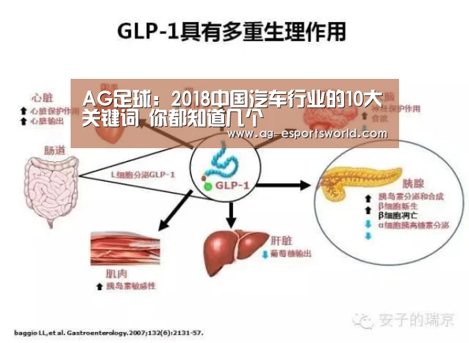 AG体育