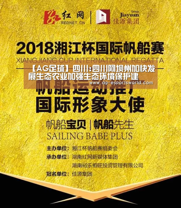 AG篮球