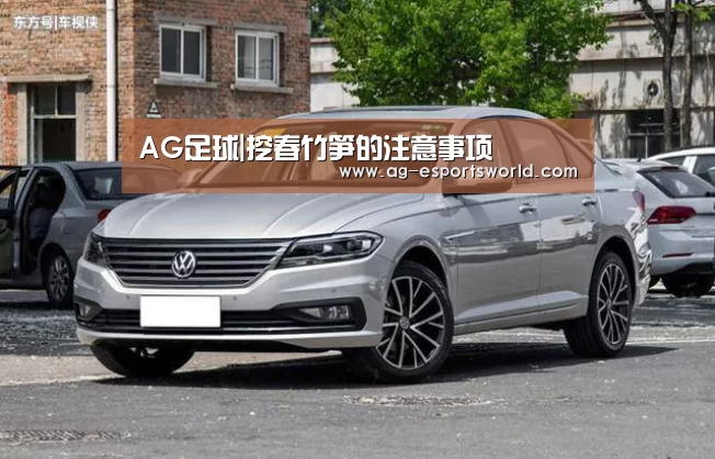 AG足球|挖春竹笋的注意事项(图1) AG足球