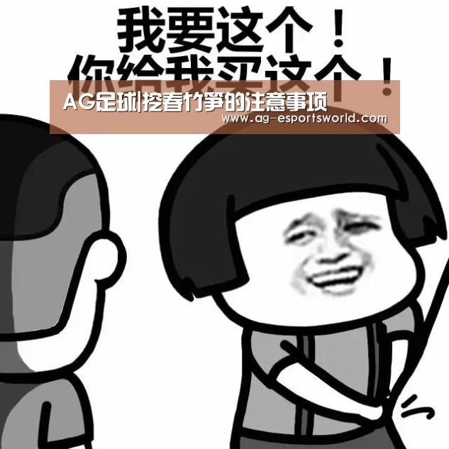 AG足球|挖春竹笋的注意事项(图3) AG体育