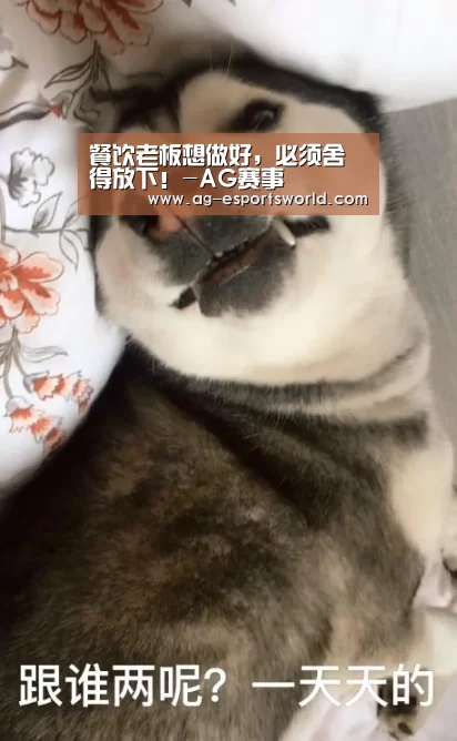 餐饮老板想做好,必须舍得放下!-AG赛事(图2) AG赛事
